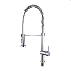 Commercial Sprinkle Faucet Contemporary Chrome Finished Pull Out Kitchen Tap Spring Kitchen Faucet